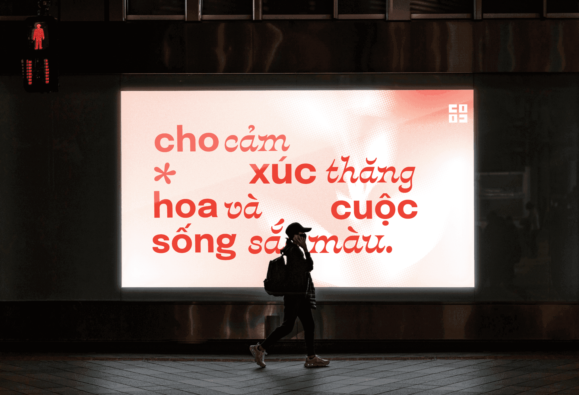 CCF - 8.png