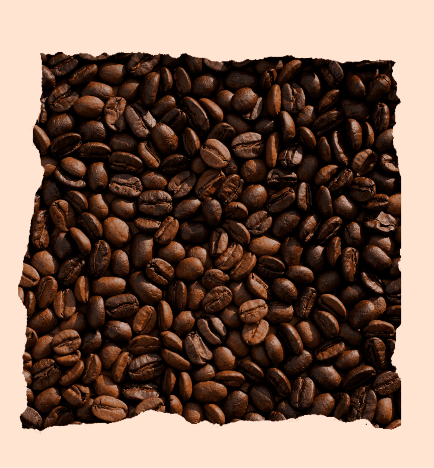 G&F - motif 2b.png