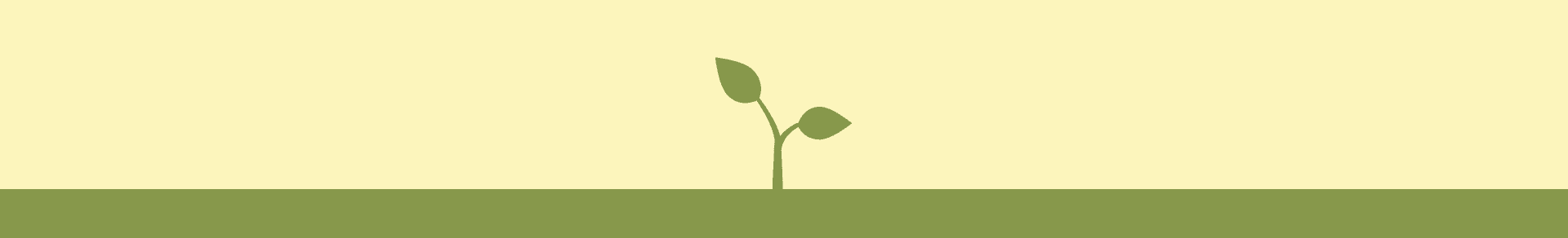 When My Garden Taught Me - divider 1.png
