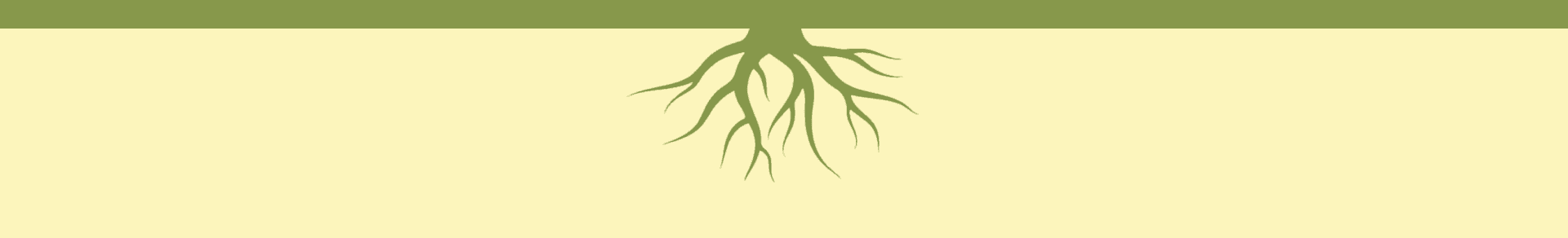 When My Garden Taught Me - divider 2.png